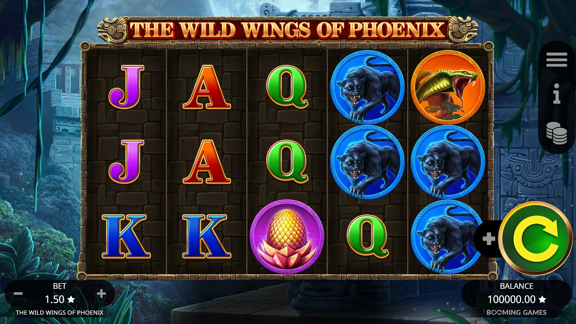 Die Wild Wings von Phoenix