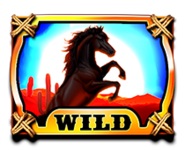 Wild Zeichen in 3 Coin Cowboy