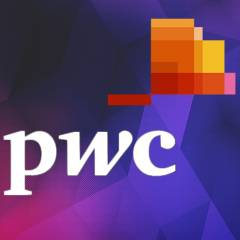 Price Waterhouse Coopers DE