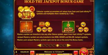 12 Coins: Bonus Spiele