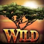 2 Kings of Africa: Wild