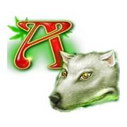 7 Days Anotherland: A, ein Wolf