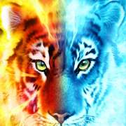 Tiger Zeichen in Blaze and Frost