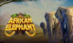 Spiel African Elephant