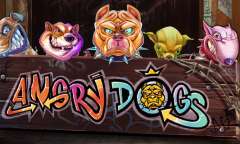 Spiel Angry Dogs