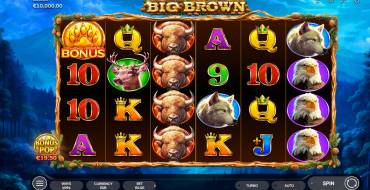 Big Brown: Spielautomat