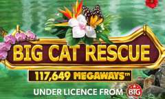 Spiel Big Cat Rescue Megaways