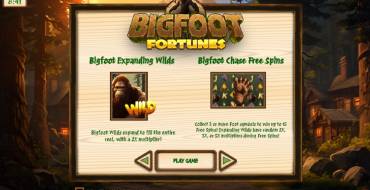 Bigfoot Fortunes: Schnittstelle