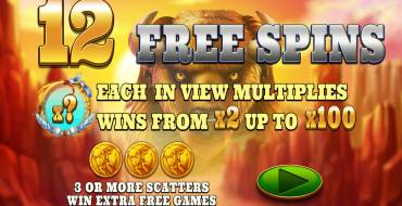 Bison Bonanza: Freespins und/oder Respins