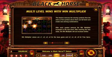 Black Horse Deluxe: Einzigartige Merkmale