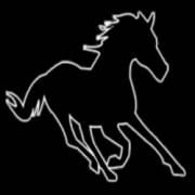 Black Horse: Pferd