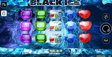 Black Ice: Schnittstelle