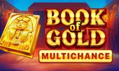 Spiel Book of Gold Multichance