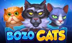 Spiel Bozo Cats