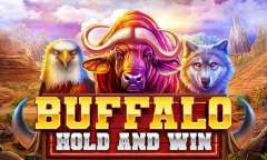 Spiel Buffalo Hold And Win