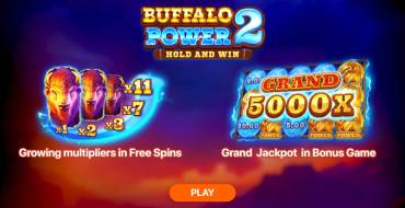 Buffalo Power 2: Hold and Win: Einzigartige Merkmale