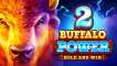 Buffalo Power 2: Hold and Win (Playson)