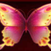 Butterfly Lovers: Gratis-Spins