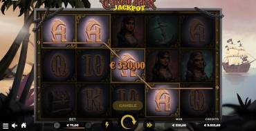 Calico Jack Jackpot: Gestaltung