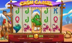 Spiel Cash Camel