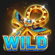 Coins of Ra Hold&Win: Wild