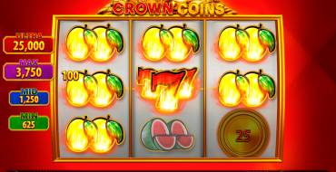 Crown Coins: Schnittstelle