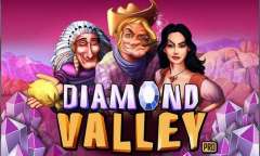 Spiel Diamond Valley Pro