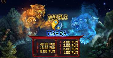 Double Tigers: Auszahlungstabelle