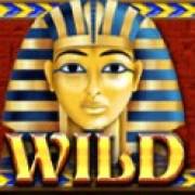 Egyptian Sands: Wild