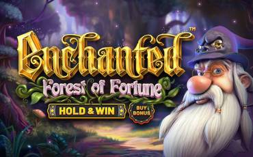 Enchanted: Forest of Fortune Hold&Win