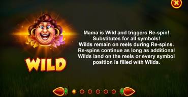 Fat Mama's Wheel: Bonus Spiele