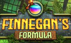 Spiel Finnegan's Formula