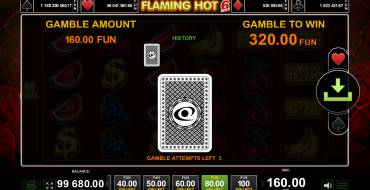 Flaming Hot 6 Reels: Risiko-Spiel