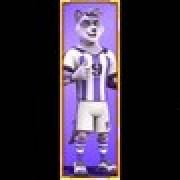 Football Mayhem: Waschbär