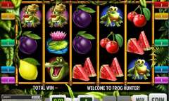 Spiel Frog Hunter