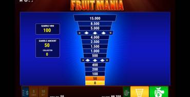 Fruit Mania: Risiko-Spiel