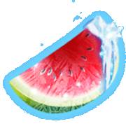 Fruits on Ice: Wassermelone