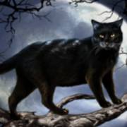 Halloween: Egypt Quest: Schwarze Katze