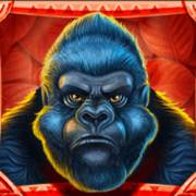 Jungle Fortune: Gorilla