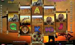 Spiel Legends of Africa