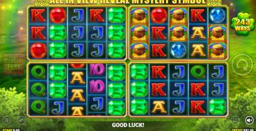 Luck O` The Irish: Mystery Ways Fortune Play: Bonus Spiele