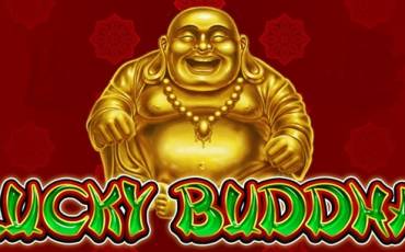 Lucky Buddha