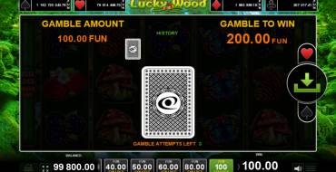 Lucky Wood: Risiko-Spiel