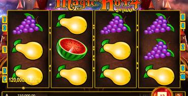 Magic Hot 4 Deluxe: Gewinne