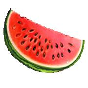 Magic Spinners: Wassermelone