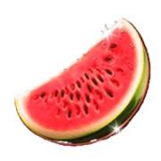 Mega Wild Fruits: Wassermelone