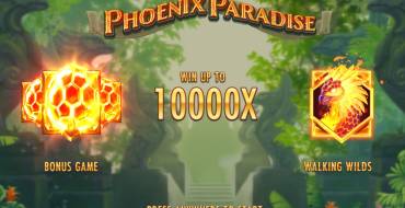 Phoenix Paradise: Schnittstelle