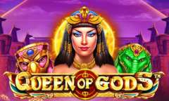 Spiel Queen of Gods