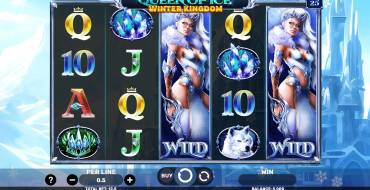 Queen Of Ice – Winter Kingdom: Spielautomat