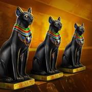 Ramses Book Deluxe: Katzen